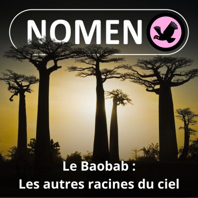 SPÉCIAL BAOBAB : Les autres racines du ciel cover