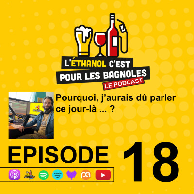 Pourquoi j’aurais dû parler ce jour-là ... ? cover