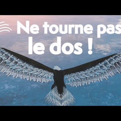 Écoute : Parole et Évangile du jour | Lundi 13 juin • St Antoine de Padoue cover