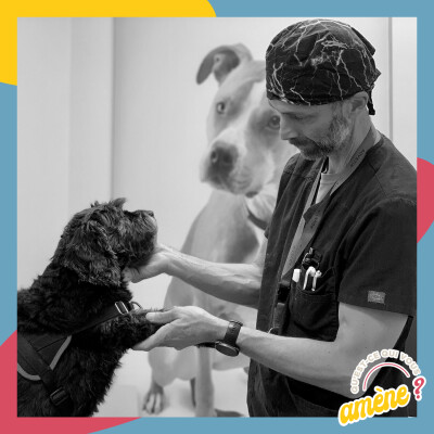 22 - Comment détecter la douleur chez mon animal ? cover