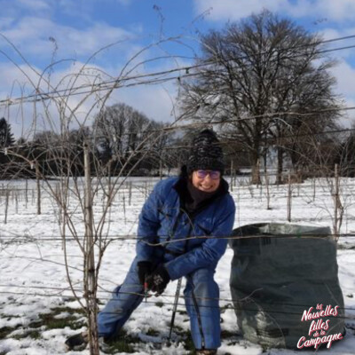 #Rediff Estivale : Baie de Goji et changement de vie, de Belfort à la Dordogne. Cathie. cover
