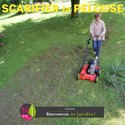PAROLES D'EXPERTS: POURQUOI, COMMENT ET QUAND SCARIFIER LA PELOUSE ? cover