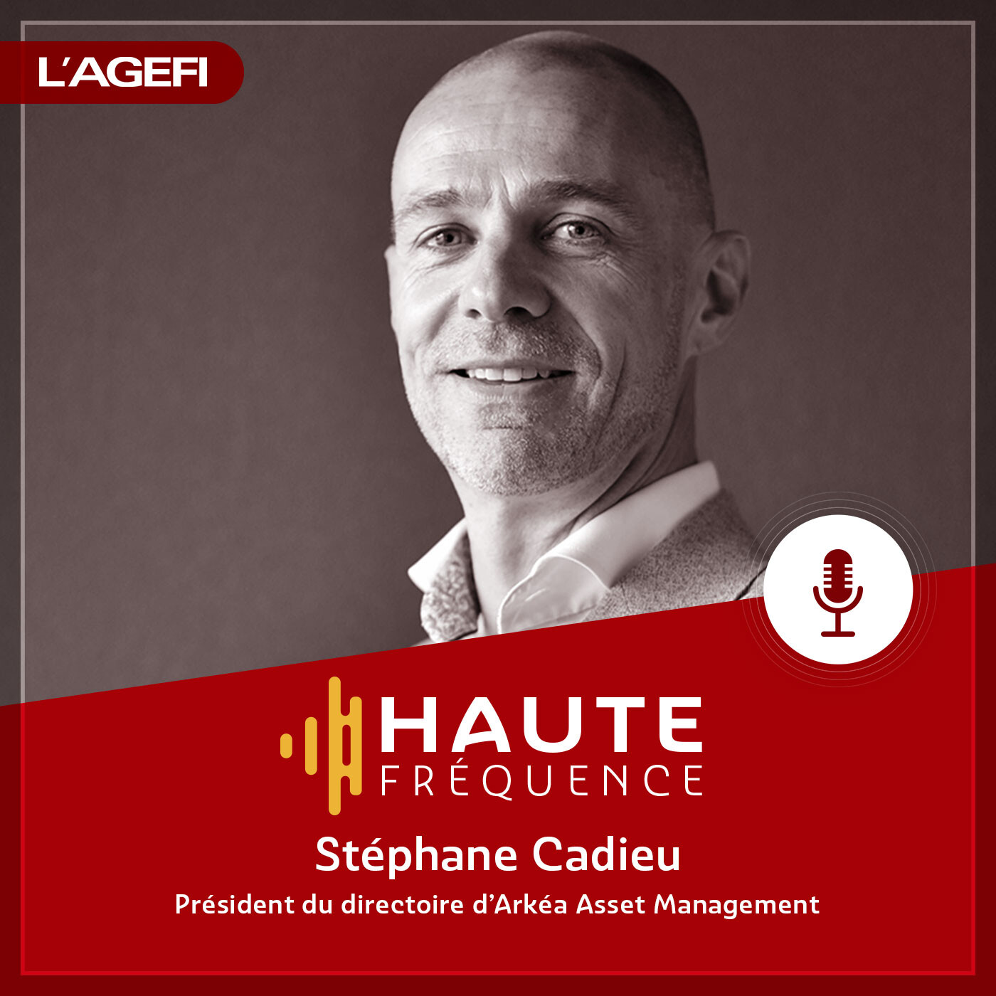 Stéphane Cadieu : «Il faut aborder les marchés avec humilité»