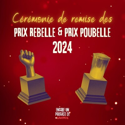 On fait le bilan 2024 (partie 2) | On remet les Prix Rebelle et les Prix Poubelle de 2024 cover