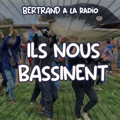 ILS NOUS BASSINENT ! cover
