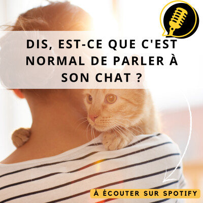 Episode 4 : Parler à son chat cover
