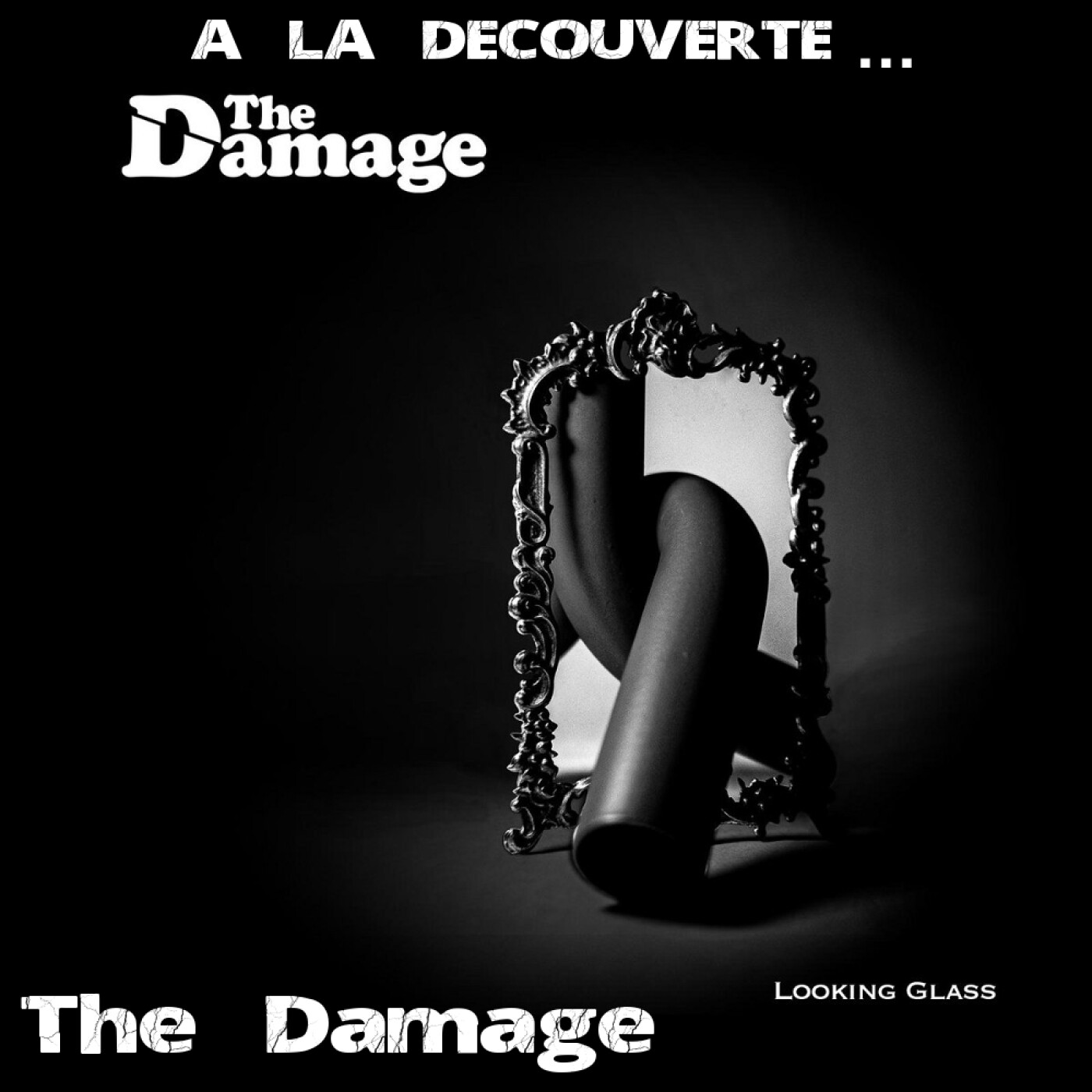 A la découverte de &%238230; The Damage