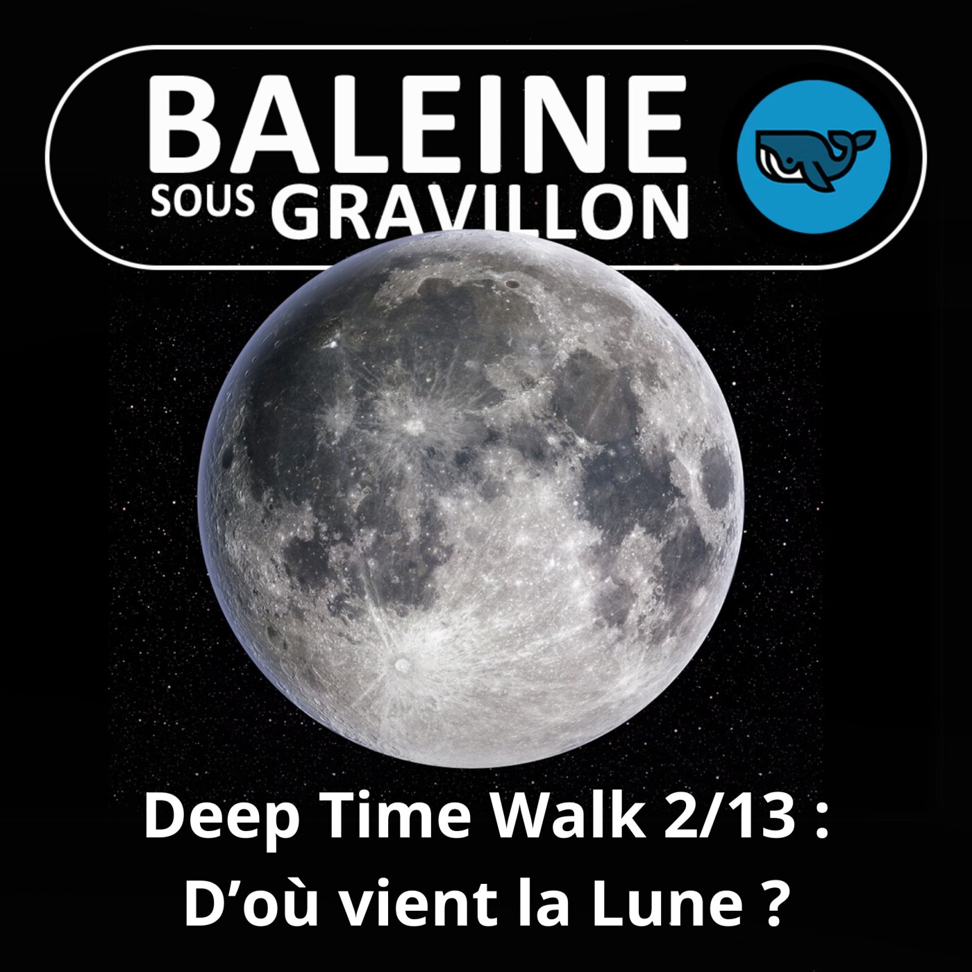 Baleine sous Gravillon