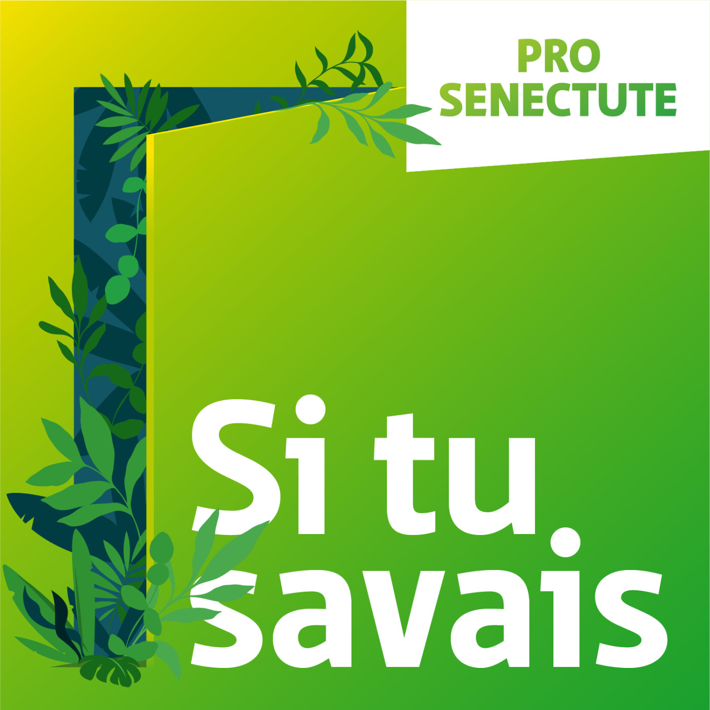 Si tu savais