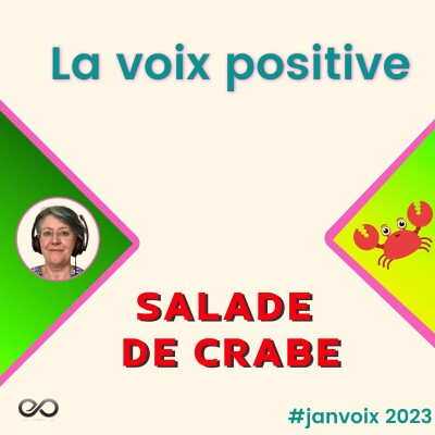 La voix positive - E 13 -  #Janvoix2023 cover