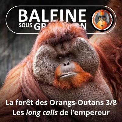 S07E115 Les Orangs-Outans 3/8 : L'empereur, un crooner à face de lune (Emmanuelle Grundmann) cover