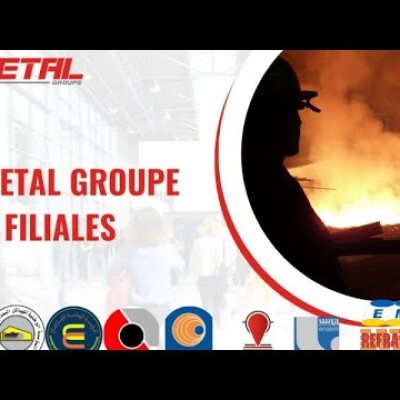 IMETAL ou SNS : la vérité sur cet important groupe industriel en grand danger en Algérie cover