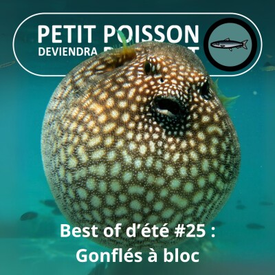 BEST OF D'ÉTÉ #25 : Les Poissons-globes ou -ballons : Si tu me gonfles, je me gonfle cover