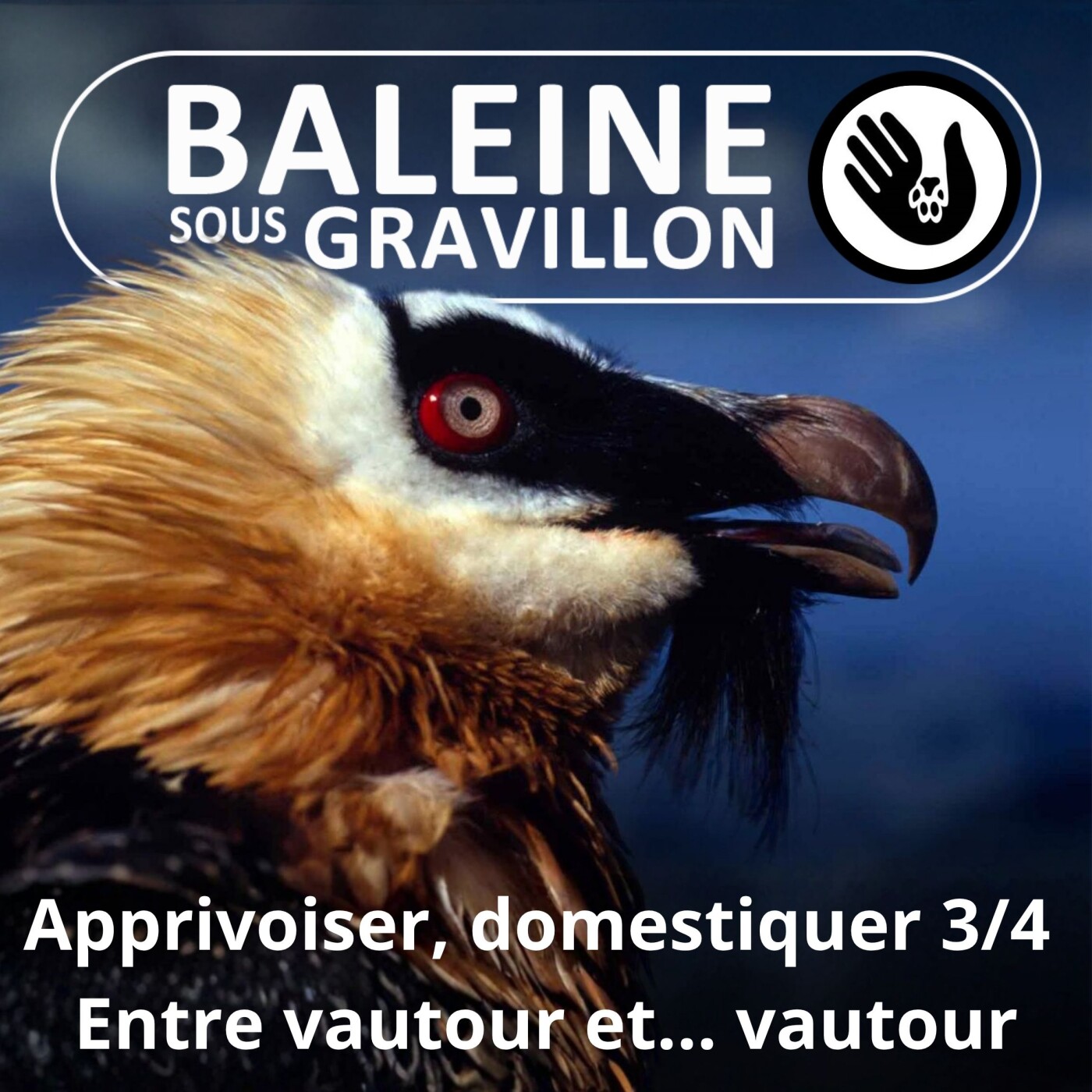 S07E171 Apprivoiser, domestiquer 3/4 : Ceux qui s'invitent à notre table... episode artwork