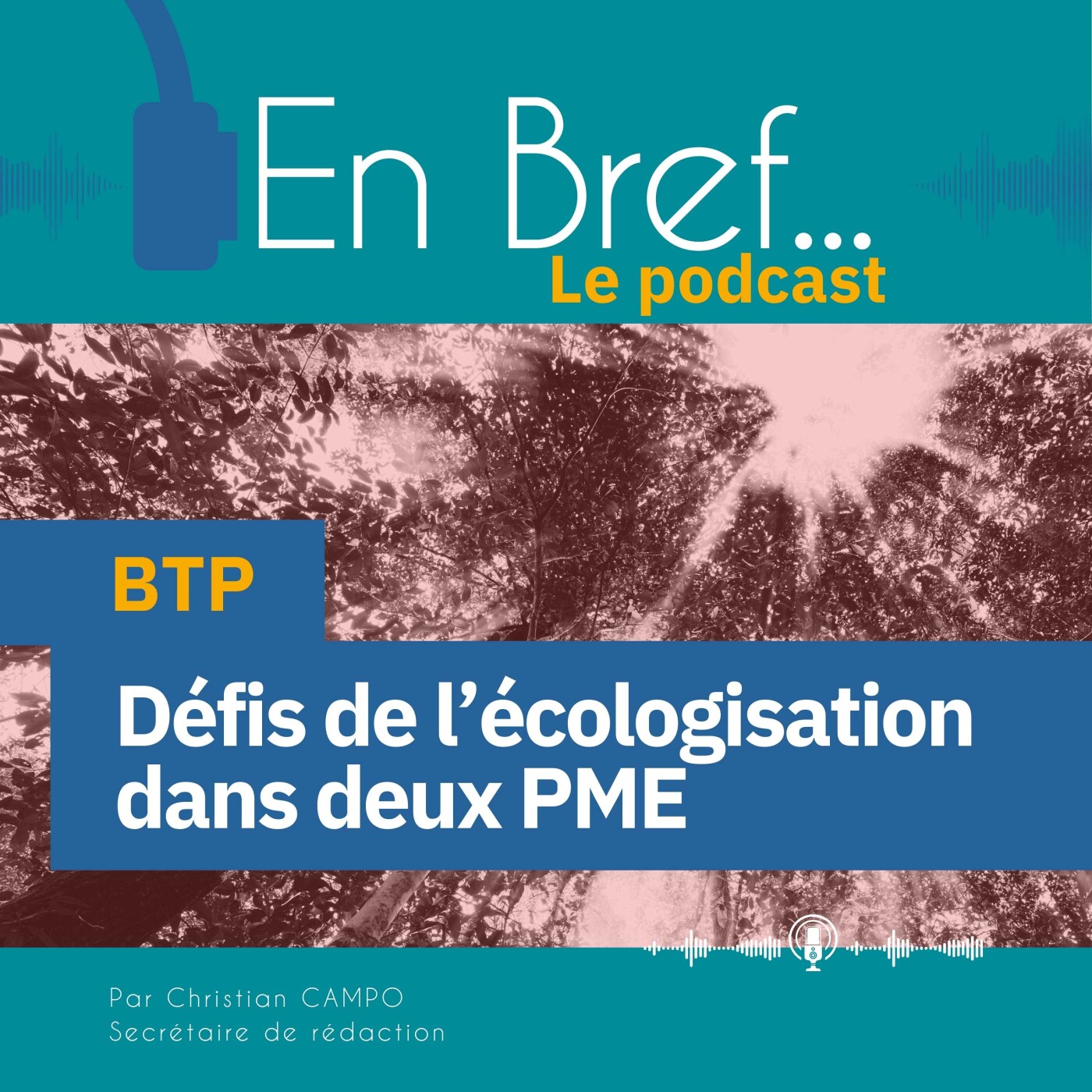 En Bref.... Le podcast du Céreq (Centre d\'études et de recherches sur les qualifications)