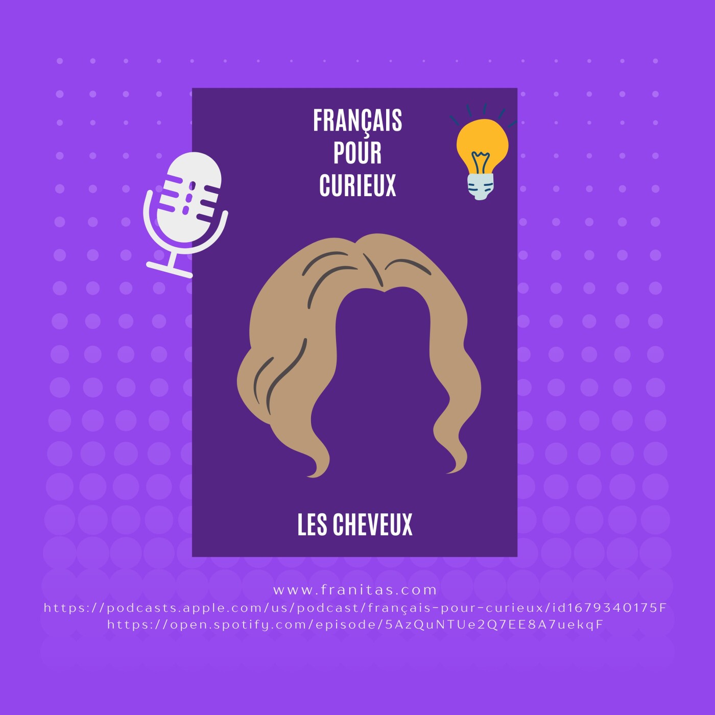Français pour curieux