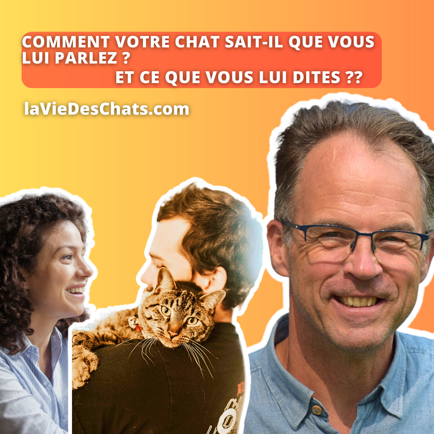 laVieDesChats