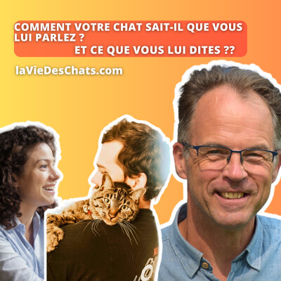 Comment votre chat sait-il que vous lui parlez et ce que vous lui dites ? cover