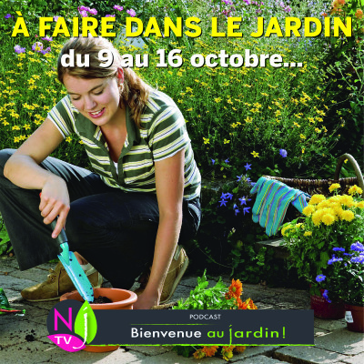 À FAIRE DANS LE JARDIN DU 9 AU 16 OCTOBRE cover