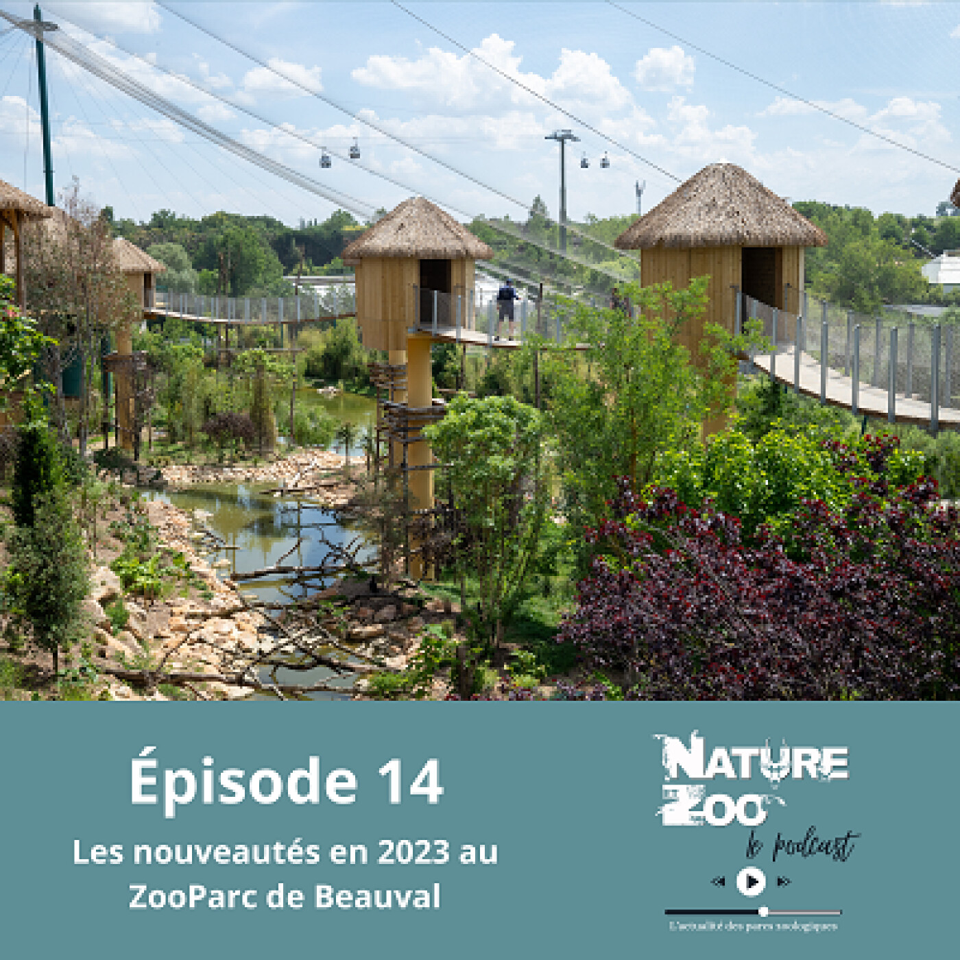 Épisode 14 (NOUVEAUTÉS) - Les nouveautés 2023 du ZooParc de Beauval episode artwork