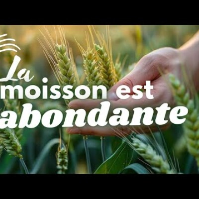 Parole et Évangile du jour | Mardi 16 juillet • Notre Dame du mont Carmel cover