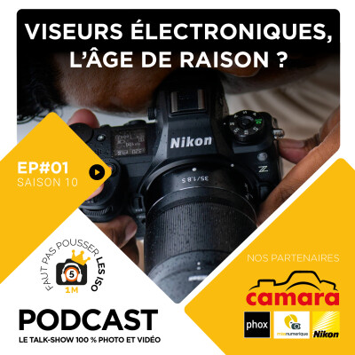 S1001 - LES VISEURS ÉLECTRONIQUES, L' ÂGE DE RAISON ? cover