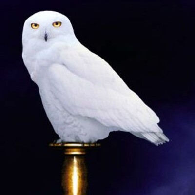 Méridien Zéro - 01/04/2016 (extrait) cover