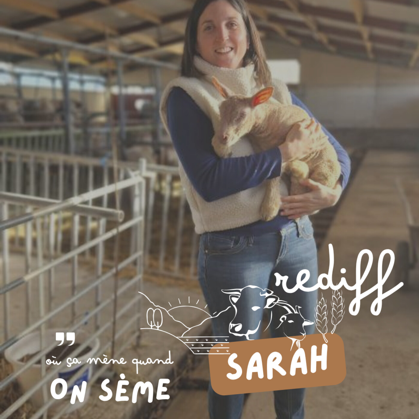Rediff : Sarah : l'amour vache, et pis c'est tout, les joies d'une femme d'éleveur episode artwork