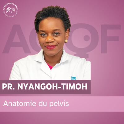 L’anatomie du pelvis - Pr. Nyangoh Timoh cover