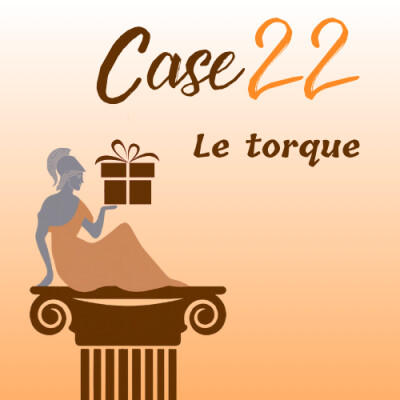 Calendrier de l’Avent 2025 - Case 22 : le torque cover