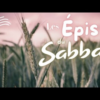 Parole et Évangile du jour | Mardi 20 janvier • Le jour du Seigneur cover