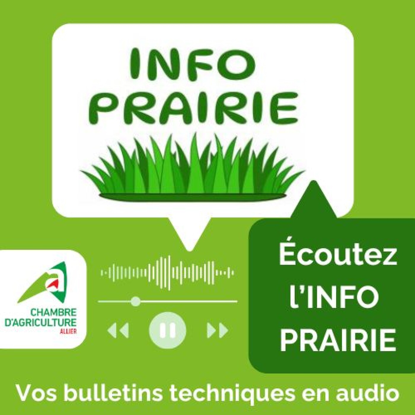 Bulletin INFO PRAIRIE N°1 - semaine 6 - Chambre d'agriculture de l'Allier episode artwork