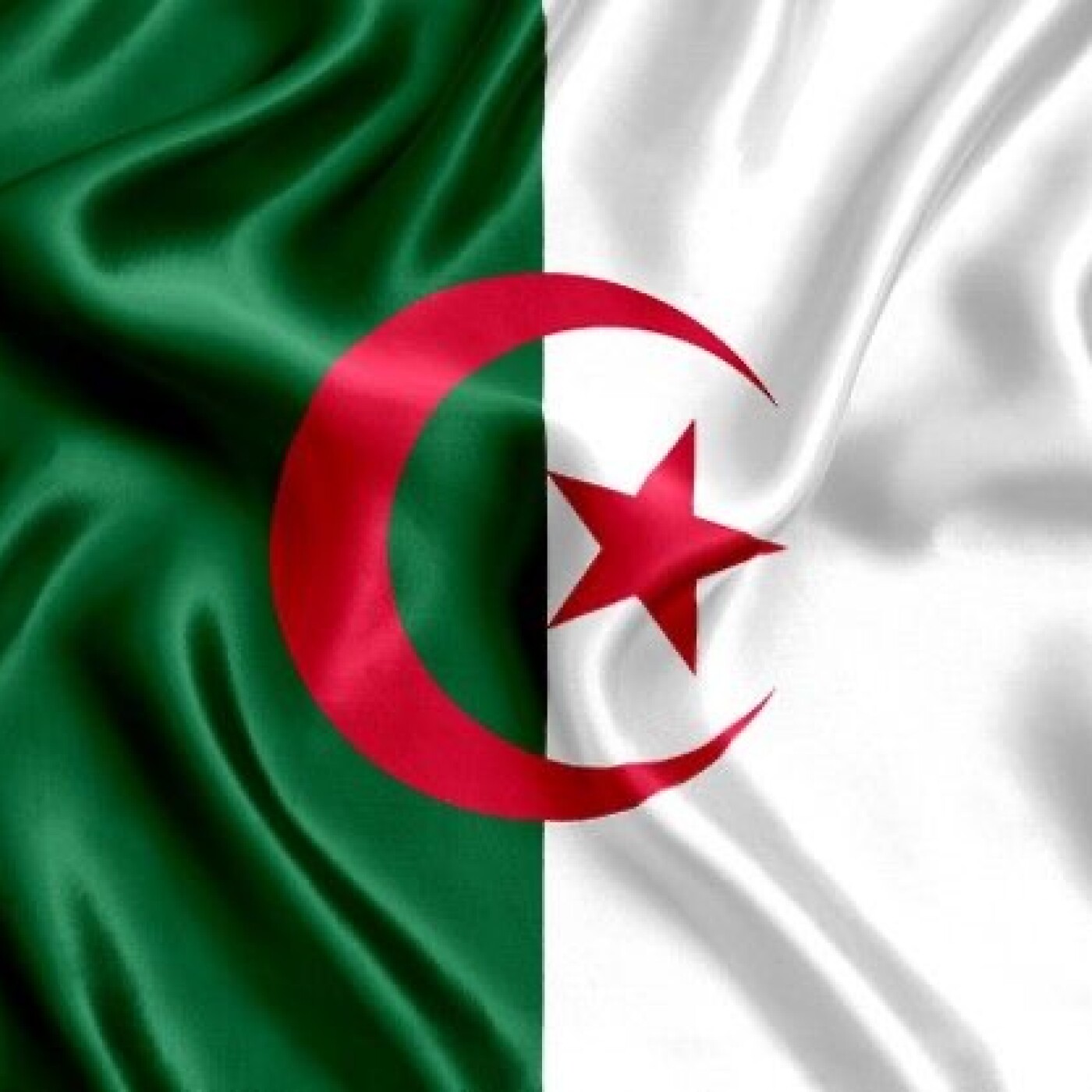 CAN 2024 : Les Fennecs 🇩🇿 (avec Benbekeur)