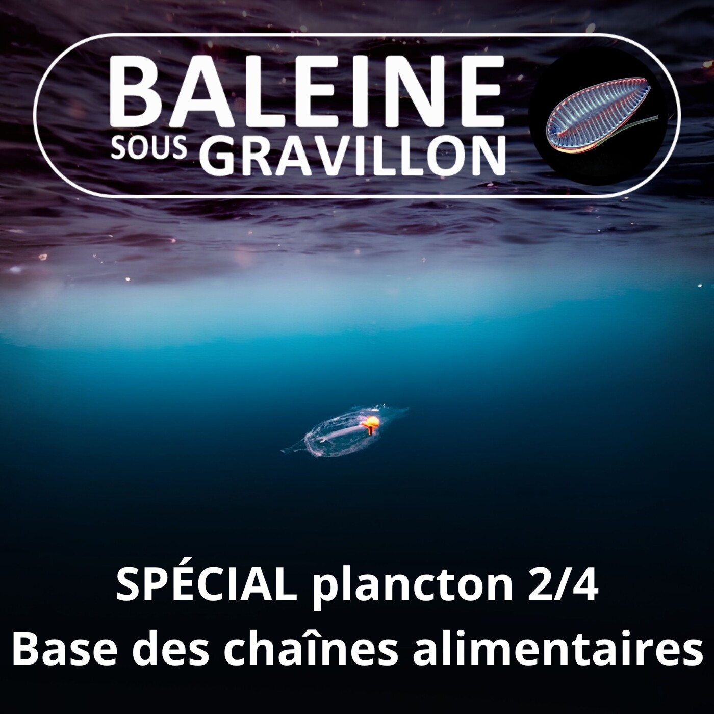 SPÉCIAL PLANCTON 2/4 : À l'origine de la Vie... et des chaînes alimentaires