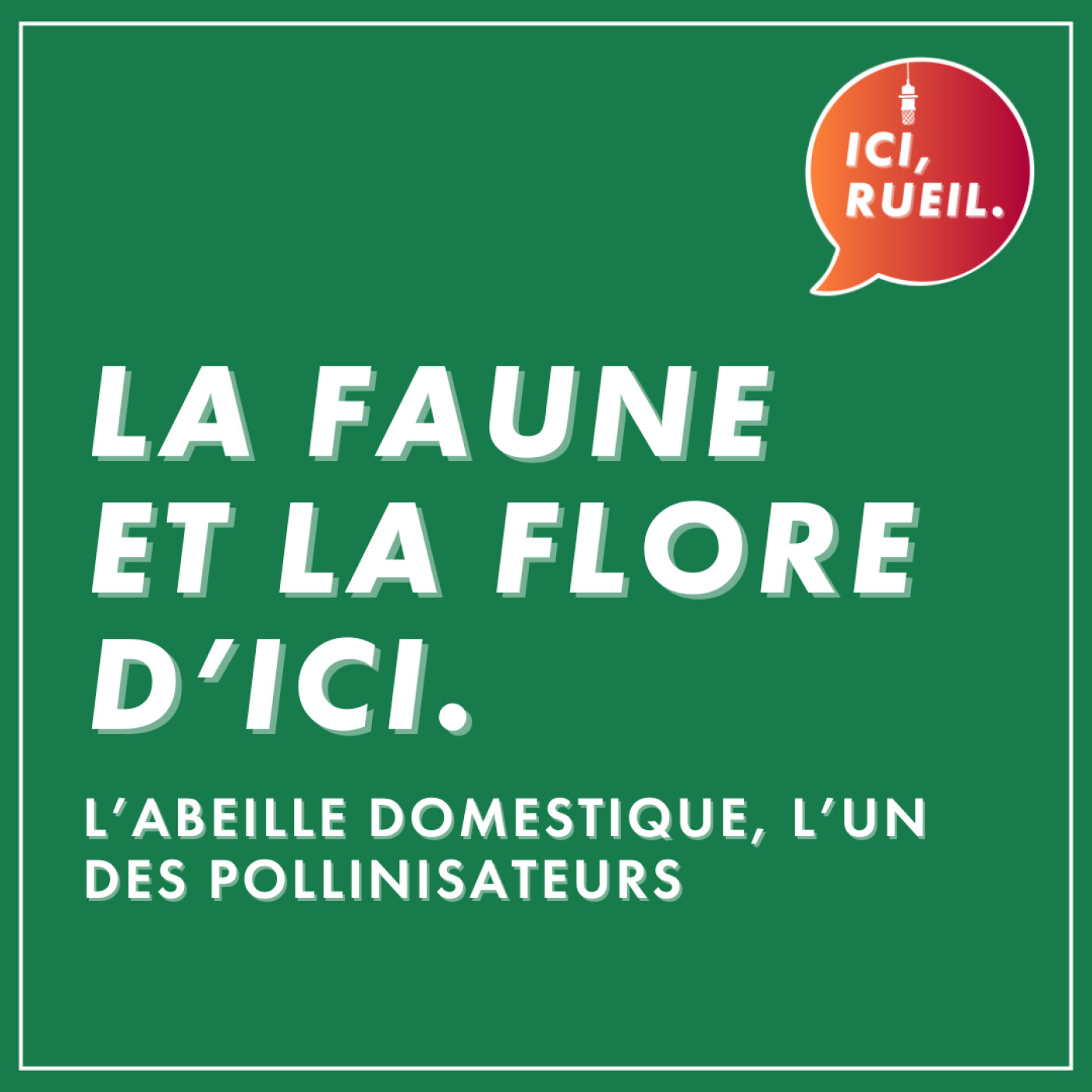 La Faune et la Flore d'Ici : L'abeille domestique, l'un des pollinisateurs episode artwork