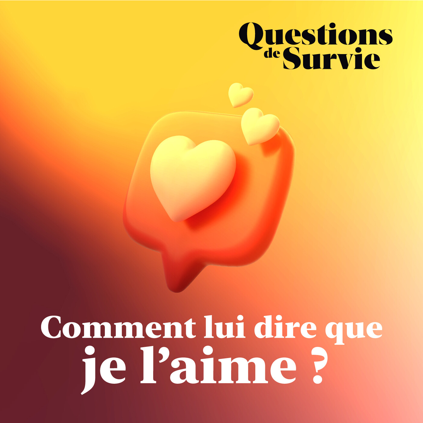 Questions de Survie