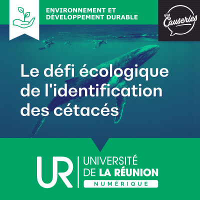 Le défi écologique de l'identification des cétacés cover