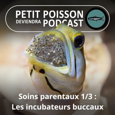 Show cover
