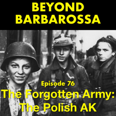 The Forgotten Army: Poland’s Armia Krajowa cover