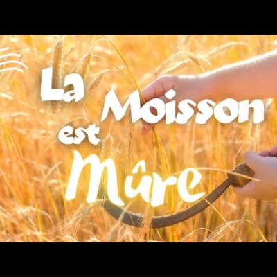 Parole et Évangile du jour | Samedi 14 octobre • Heureux, Bienheureux cover