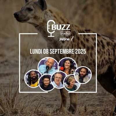 Lundi 08 septembre 2025 cover