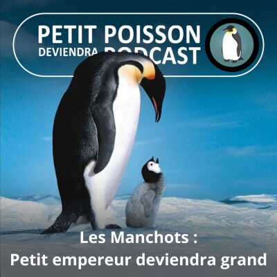 S05E20 Les Manchots : Le film phénomène "La Marche de l'Empereur " (Mathilde Chevallay) cover