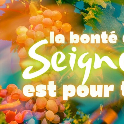 Parole et Évangile du jour | Dimanche 24 septembre • La bonté du Seigneur pour ceux qu'ils l'aimen cover