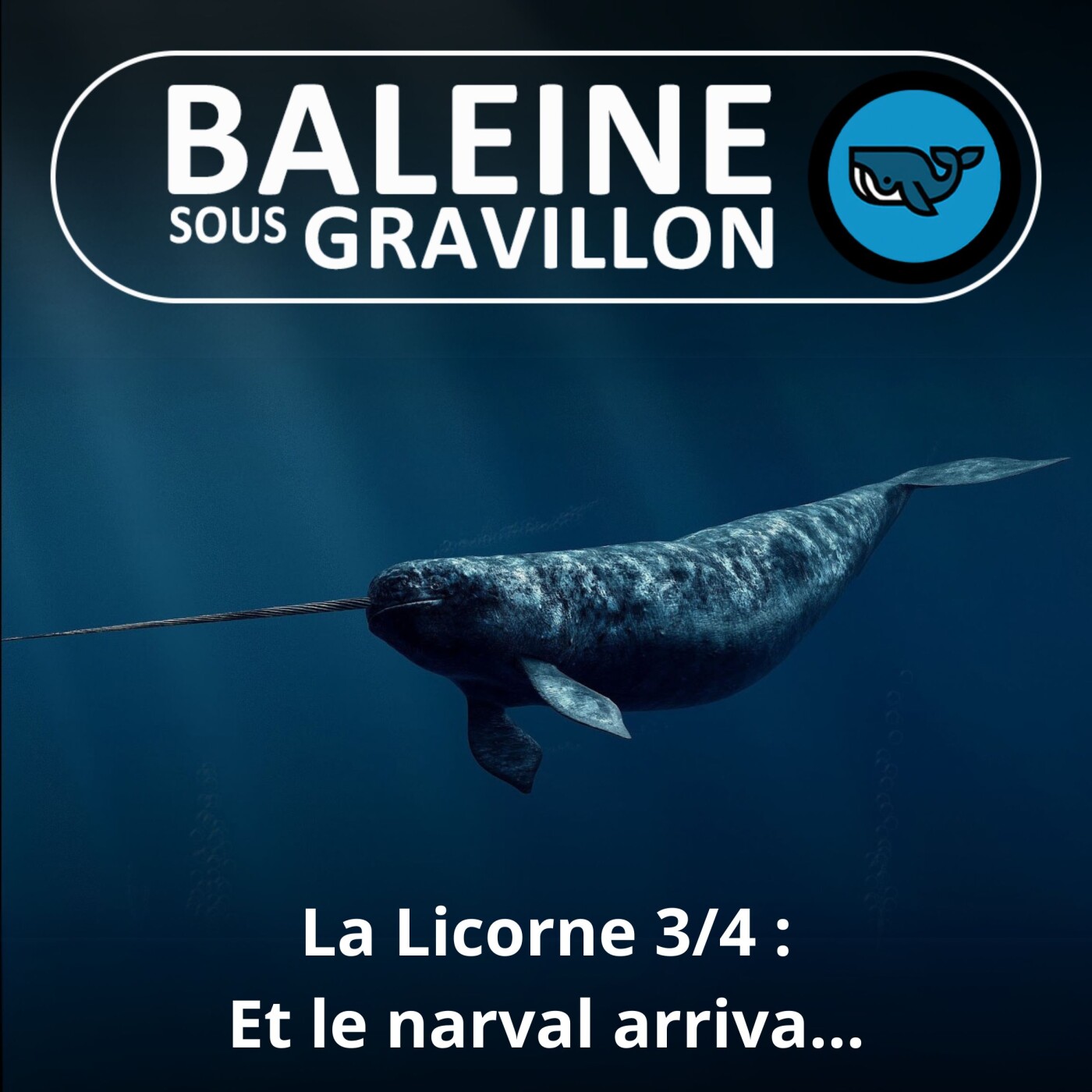 S06E33 La Licorne 3/4 : Du Qilin chinois au Narval de l'Arctique