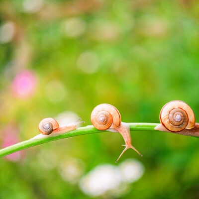 Episode #2 - Besoin de ralentir... Les signes qui ne trompent pas ! cover