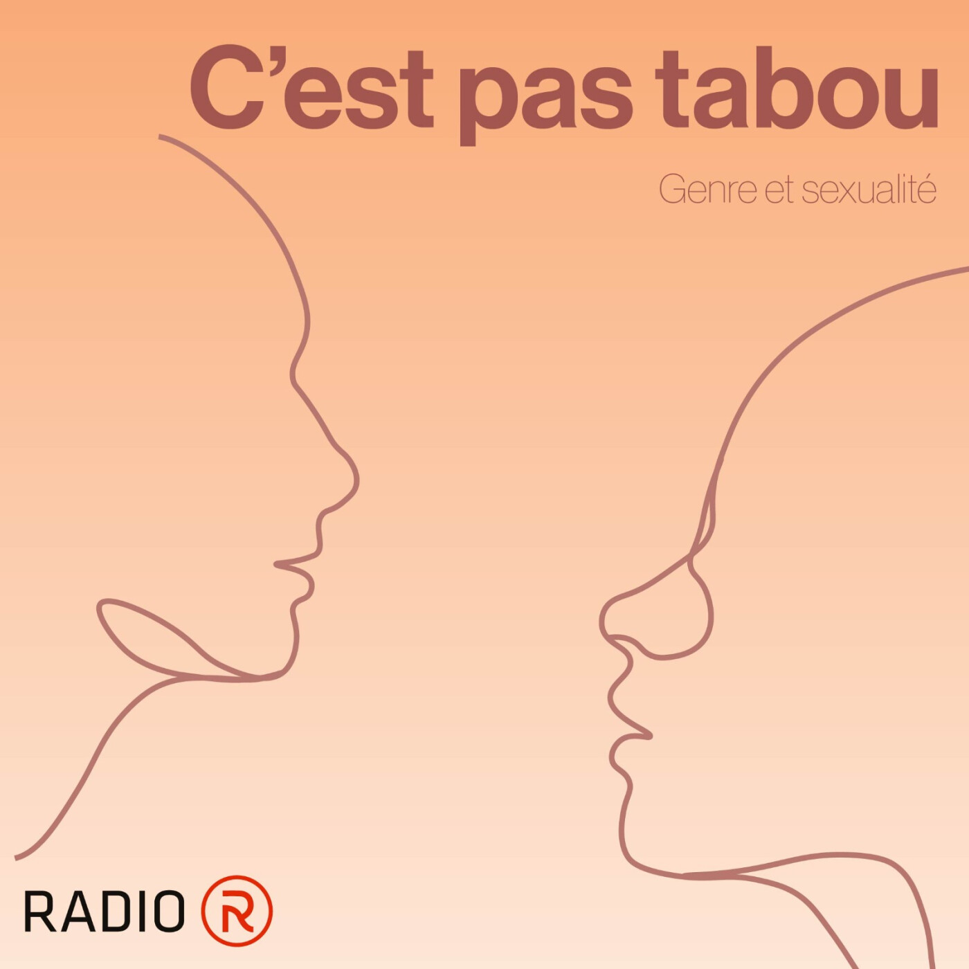 C'est pas tabou: Présentation et introduction