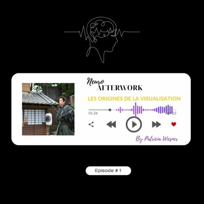 #1 Les origines de l'utilisation de la visualisation cover