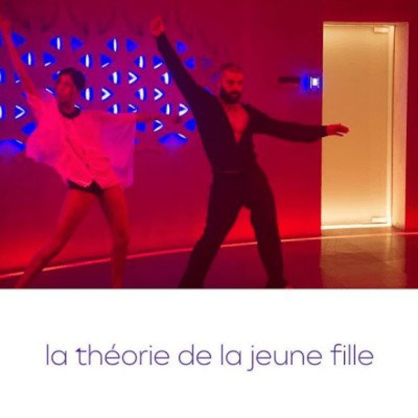 la théorie de la jeune fille (tiqqun)