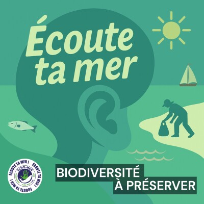 #06 La vie sous les pontons, le port comme refuge de la biodiversité cover