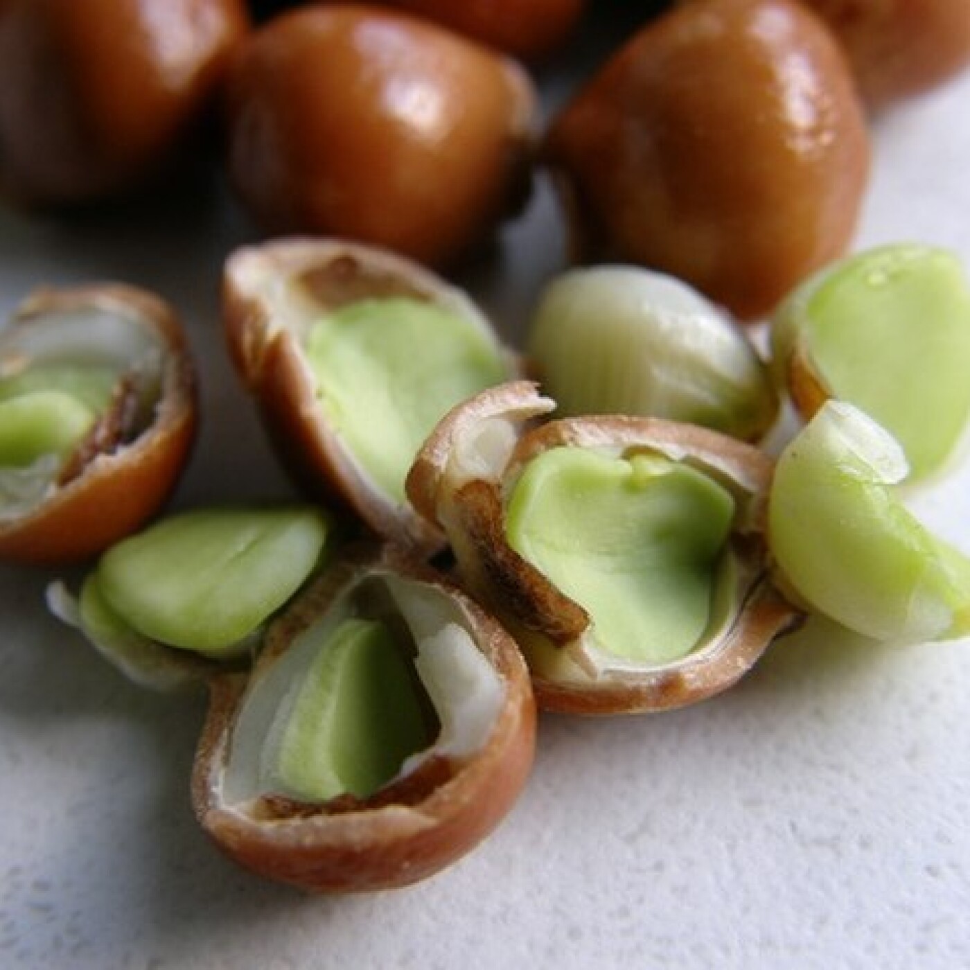 Pistache de sous-bois